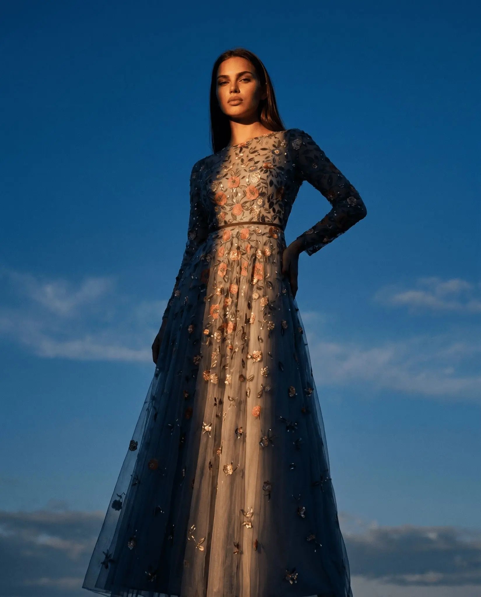 Gray Embellished High Neck Long Sleeve A Line Gown - Layalita